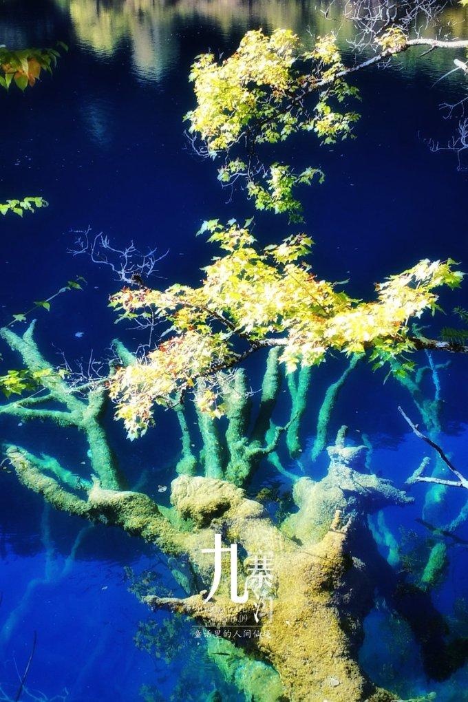 1月30日战报|星耀五洲杯国际青少年足球文化节第30站·武汉