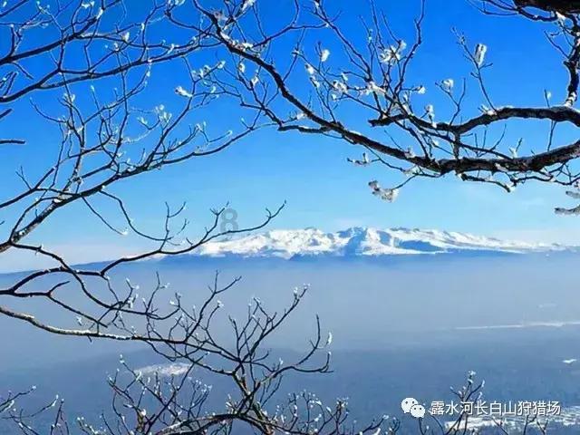 三国群英6