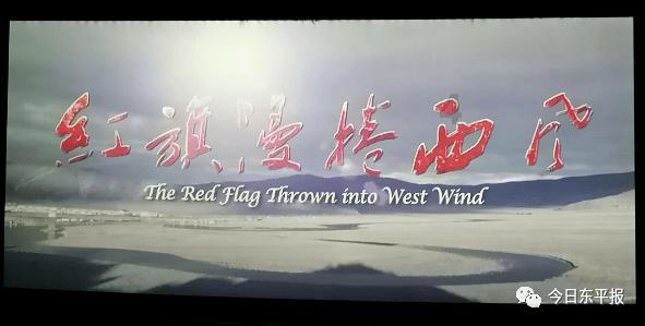 “以乡创之名，赴融合之约” 厦门思明台湾青年新春围炉年茶话会举行